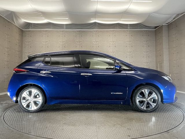 Nissan LEAF 2019-09 182719-7