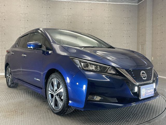 Nissan LEAF 2019-09 182719-5