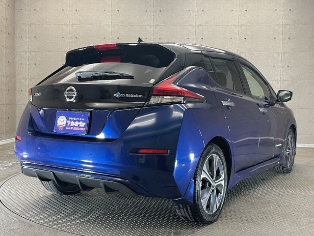 Nissan LEAF 2019-09 182719-3