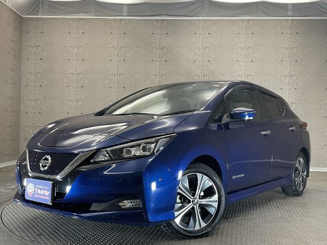Nissan LEAF 2019-09 182719-0