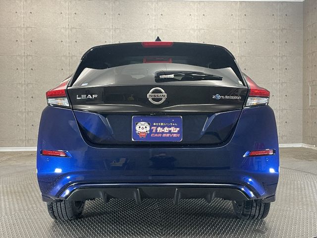 Nissan LEAF 2019-09 182719-6