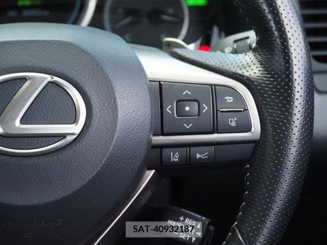 Lexus RX 2021-02 233420-18