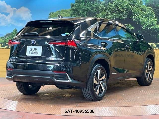 Lexus NX 2017-12 334397-17