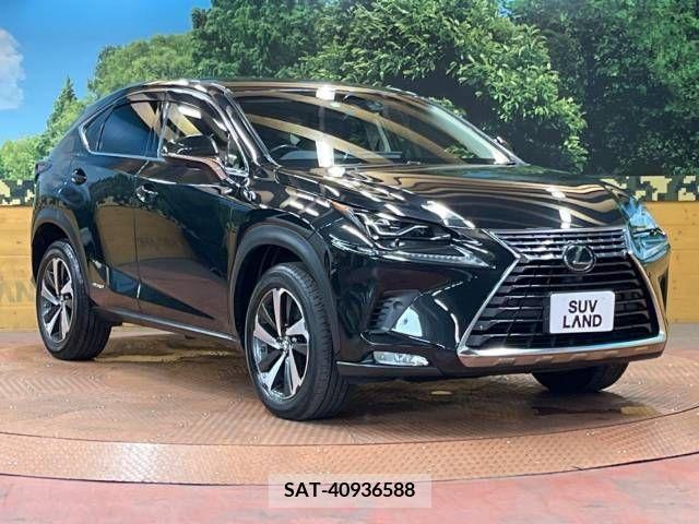 Lexus NX 2017-12 334397-16