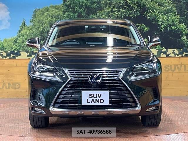 Lexus NX 2017-12 334397-14