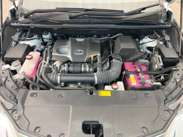 Lexus NX 2014-09 16893-18