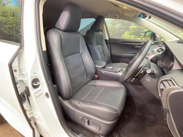 Lexus NX 2014-09 16893-8
