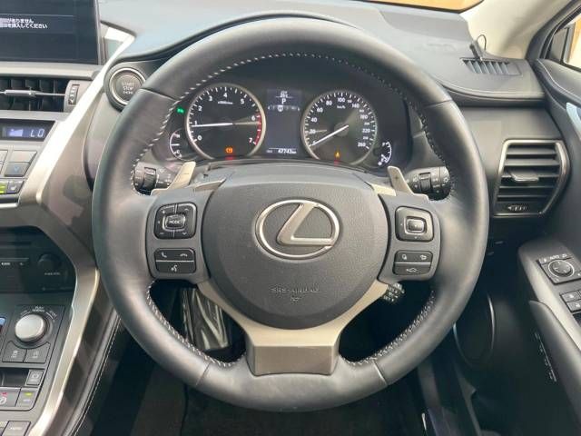Lexus NX 2014-09 16893-11