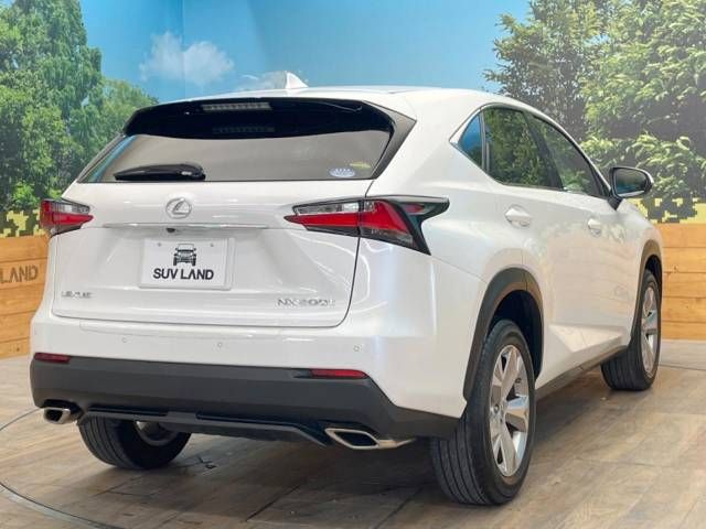 Lexus NX 2014-09 16893-17