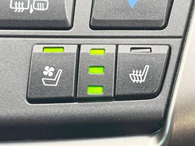 Lexus NX 2014-09 16893-4