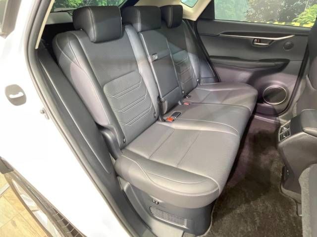 Lexus NX 2014-09 16893-9