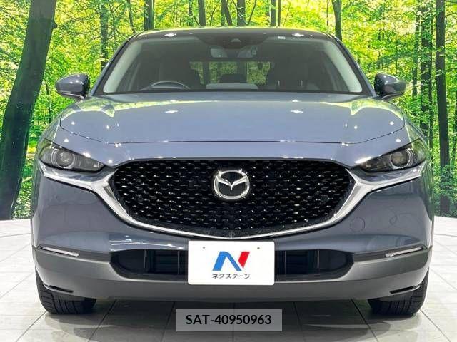 Mazda CX-30 2021-12 243529-14