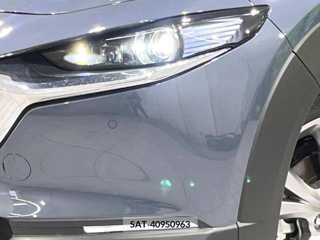 Mazda CX-30 2021-12 243529-12