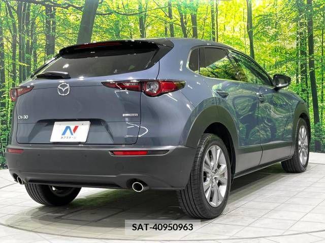 Mazda CX-30 2021-12 243529-17