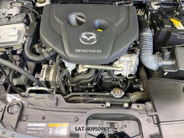 Mazda CX-30 2021-12 243529-18