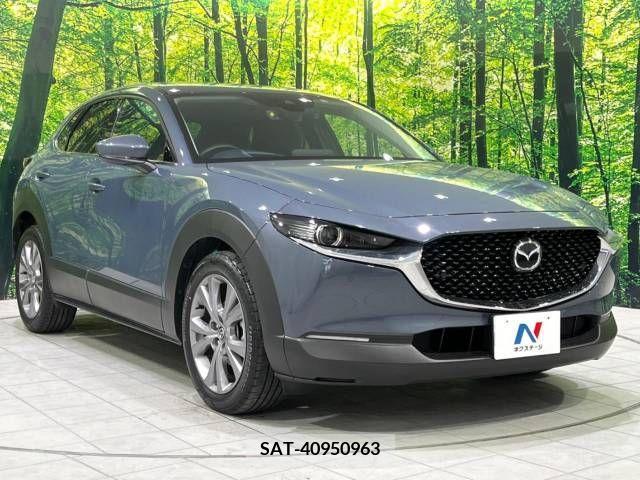 Mazda CX-30 2021-12 243529-16