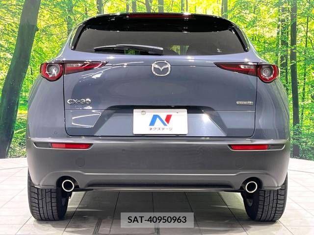 Mazda CX-30 2021-12 243529-15