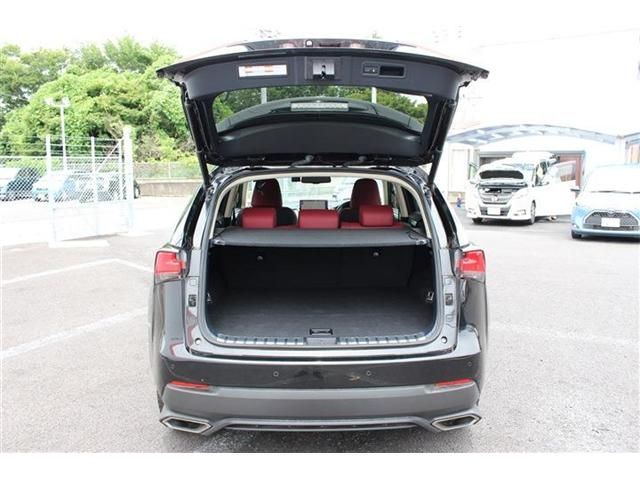Lexus NX 2017-10 7082-18