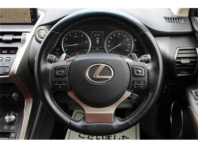 Lexus NX 2017-10 7082-17