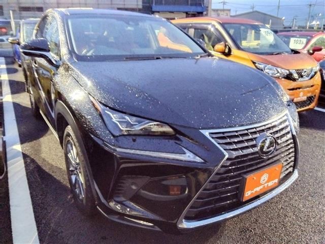 Lexus NX 2017-10 7082-20