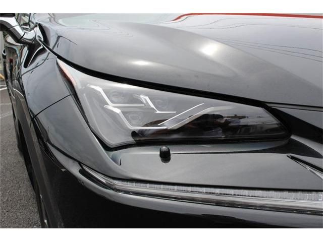 Lexus NX 2017-10 7082-13
