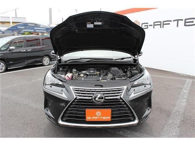 Lexus NX 2017-10 7082-19