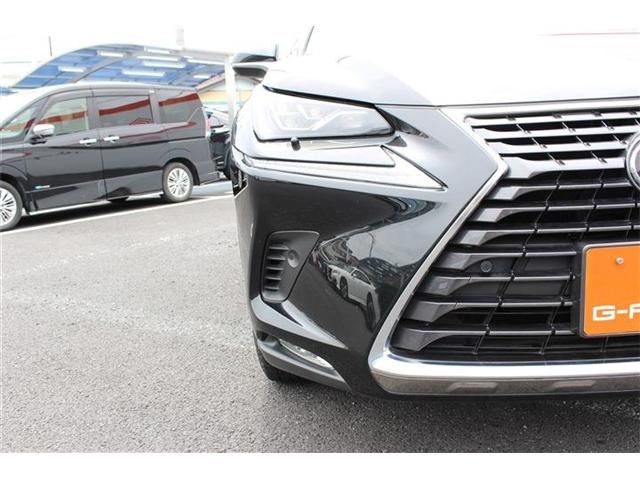 Lexus NX 2017-10 7082-12