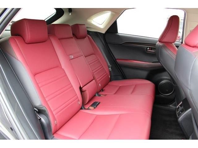 Lexus NX 2017-10 7082-15