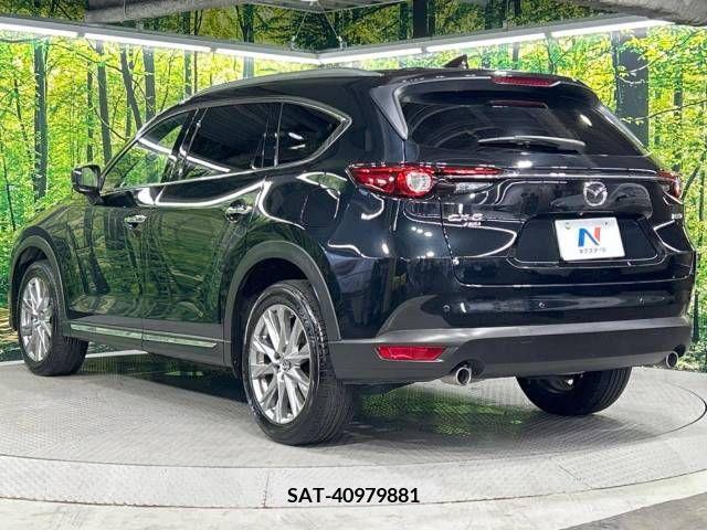 Mazda CX-8 2018-04 358831-18