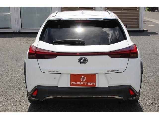 Lexus UX 2018-12 7635-9