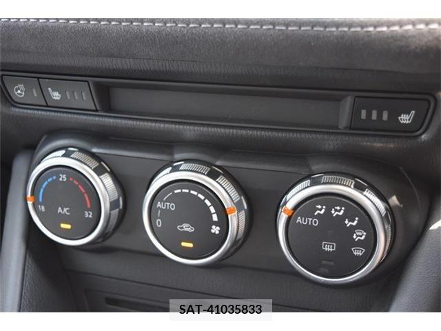 Mazda CX-3 2019-01 302071-13