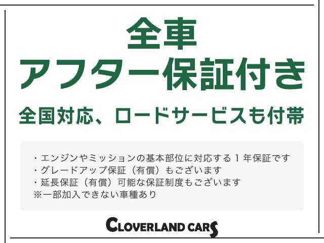 Nissan DAYZ ROOX 2016-04 24842-11