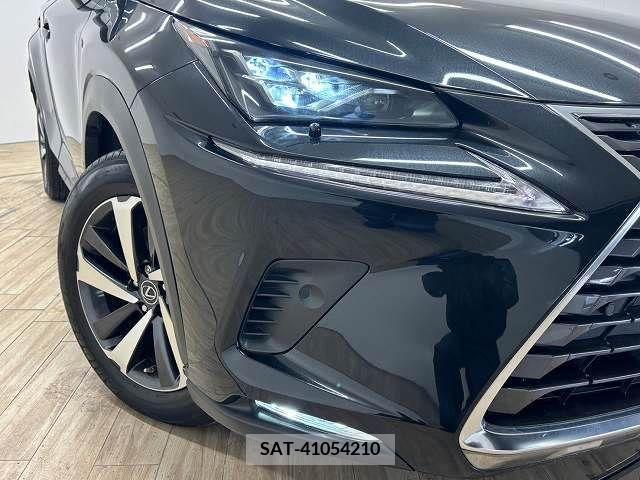 Lexus NX 2020-04 211988-19