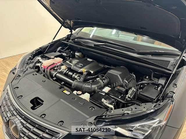 Lexus NX 2020-04 211988-17