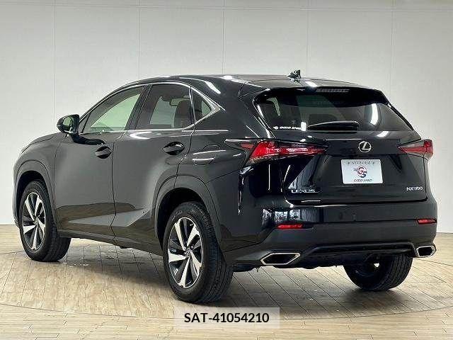 Lexus NX 2020-04 211988-16