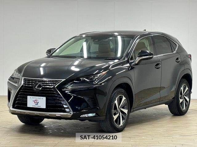 Lexus NX 2020-04 211988-14