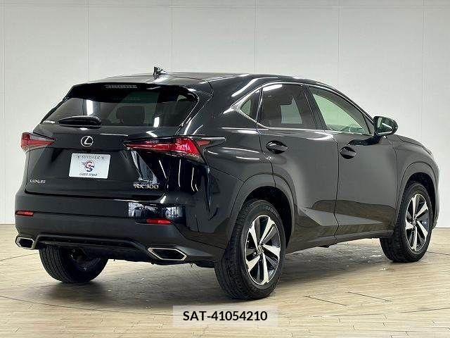 Lexus NX 2020-04 211988-15