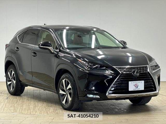 Lexus NX 2020-04 211988-13