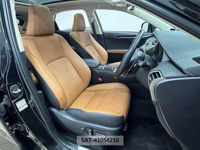 Lexus NX 2020-04 211988-4