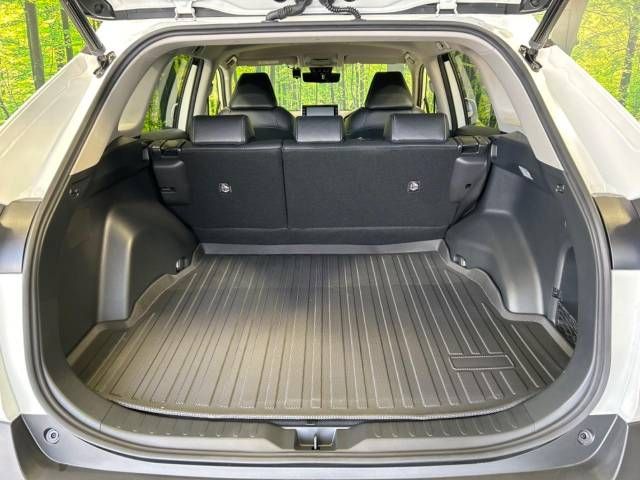 Toyota RAV4 2021-05 12432-10