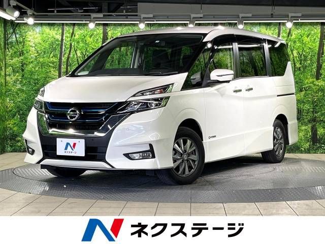 Nissan SERENA 2019-01 7670-0