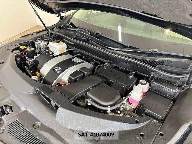 Lexus RX 2019-08 275844-19