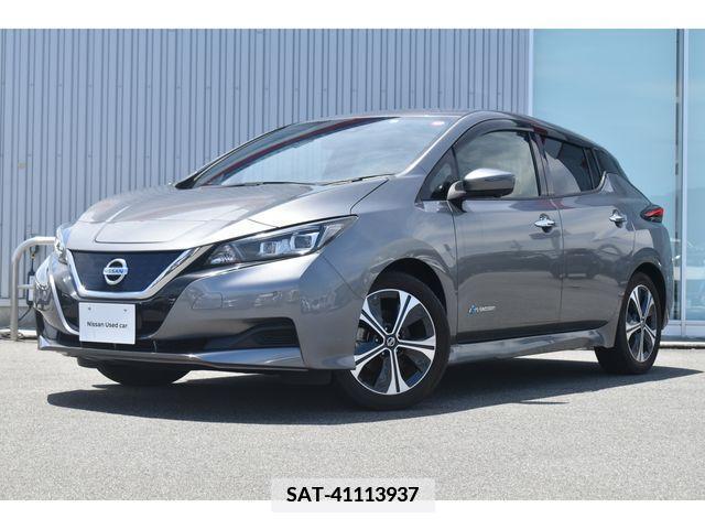 Nissan LEAF 2021-02 335691-0