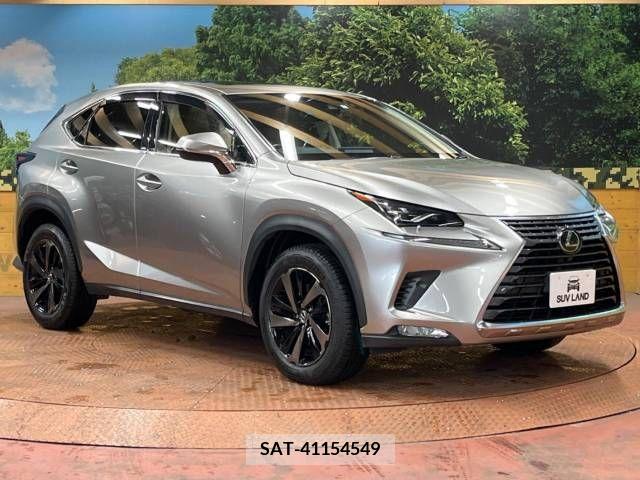Lexus NX 2017-10 223857-16