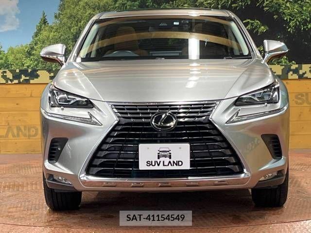 Lexus NX 2017-10 223857-14