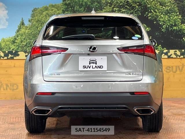 Lexus NX 2017-10 223857-15