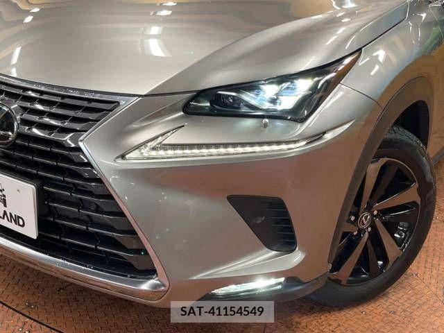 Lexus NX 2017-10 223857-12