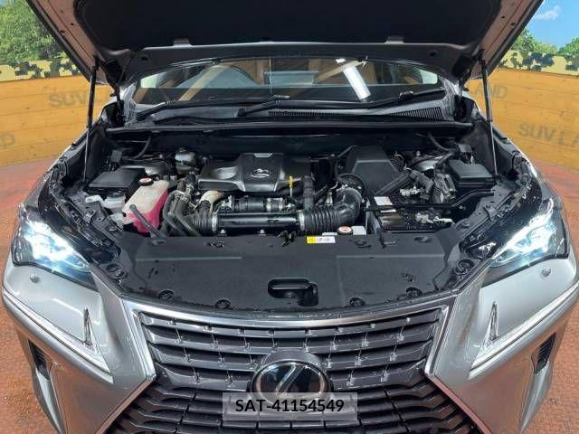 Lexus NX 2017-10 223857-18