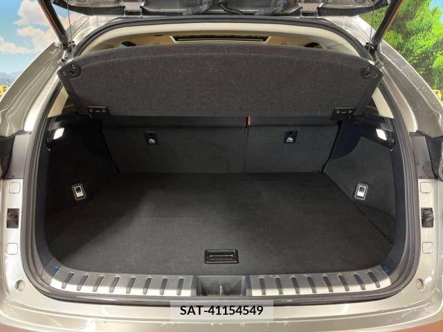 Lexus NX 2017-10 223857-10