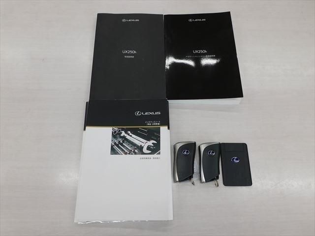 Lexus UX 2019-01 20181-9